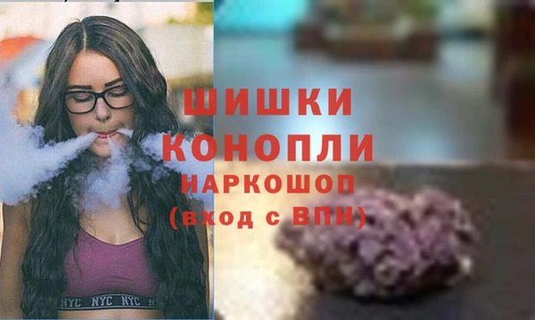 трава Сатка