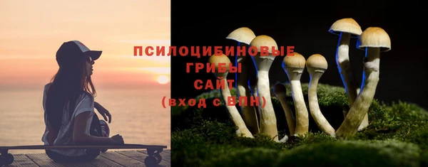 прущие грибы Верхний Тагил