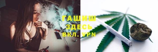 трава Сатка