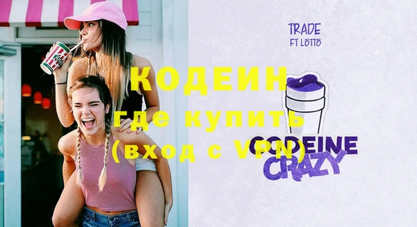 прущие грибы Верхний Тагил