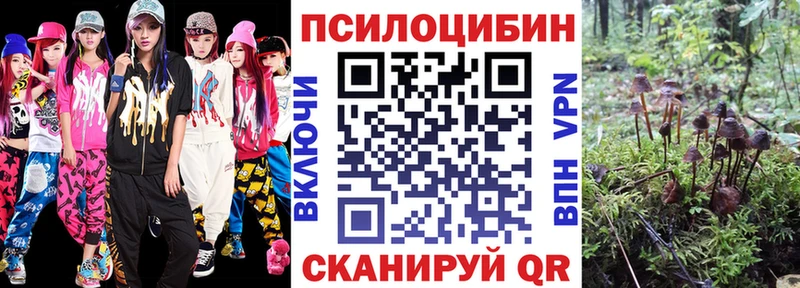 Галлюциногенные грибы GOLDEN TEACHER  Медногорск 